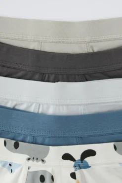 3-6 AÑOS/ PACK DE CINCO BOXERS ANIMALES