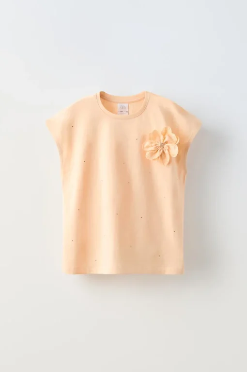 CAMISETA APLIQUE BRILLO