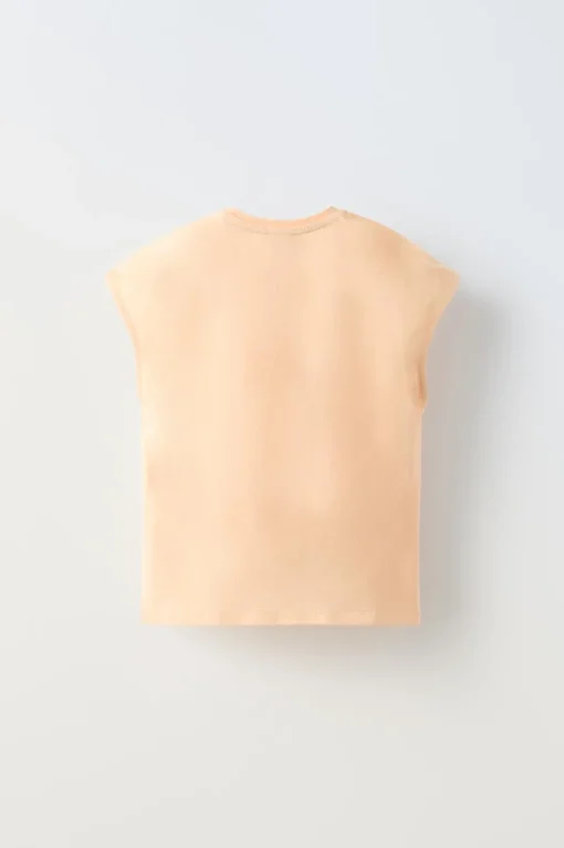 CAMISETA APLIQUE BRILLO