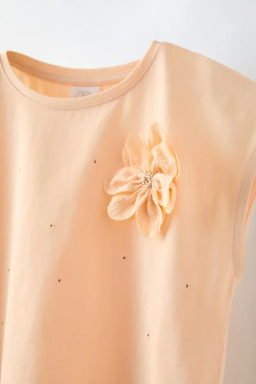 CAMISETA APLIQUE BRILLO